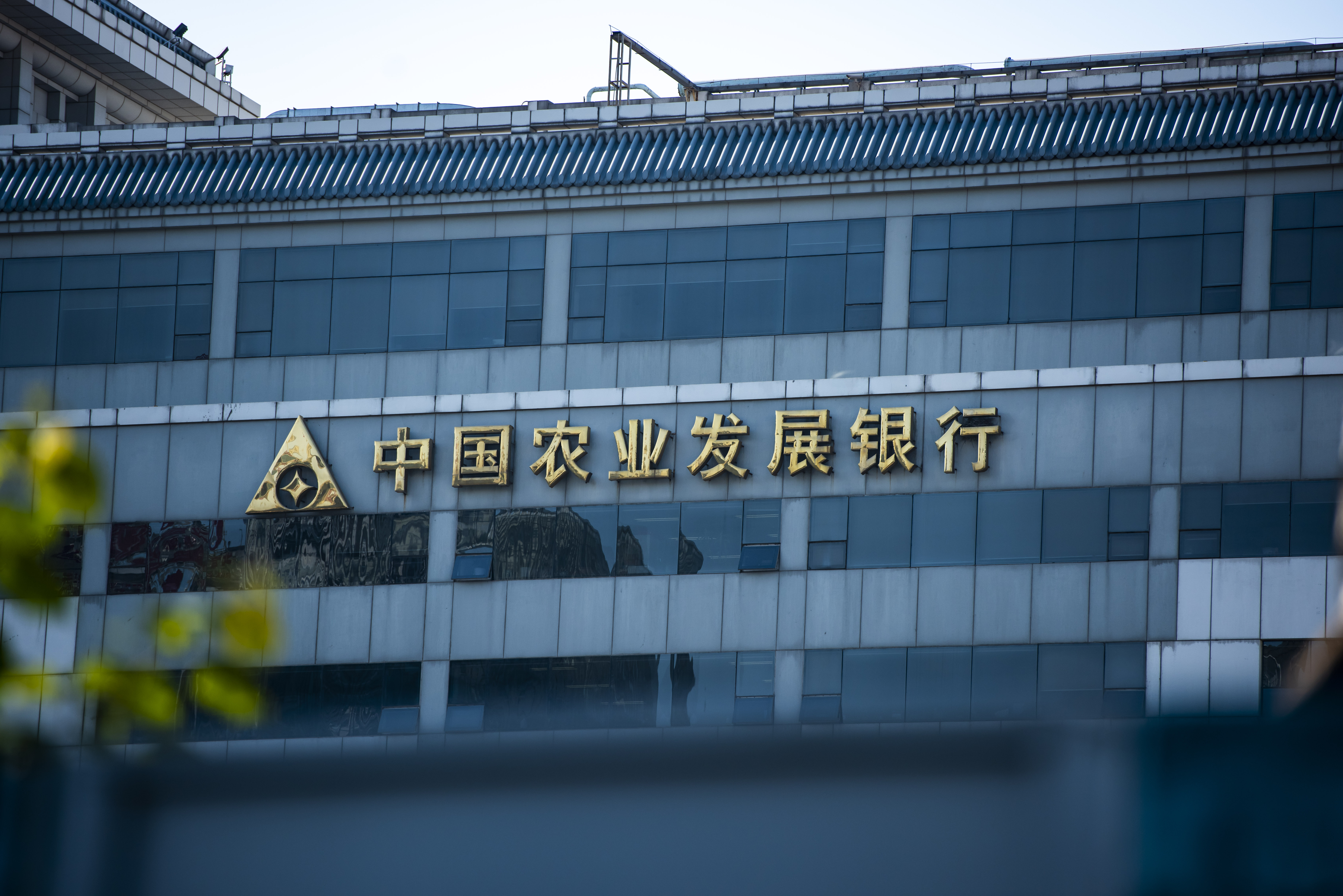 1597298183763803.jpg 农发行 (6).JPG